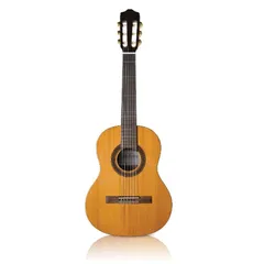 2026年最新】トップ単板の人気アイテム - メルカリ