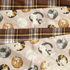 Item thumbnail for item 0ddd9768-3fe4-49ca-afa3-51ce0ad48fdb