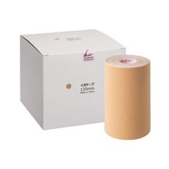 Item thumbnail for item 03a68e87-5a74-4a0e-a8af-1e693a88b62a