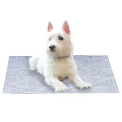 Item thumbnail for item 57a064d0-57fb-40b1-a9fb-708581be3b74