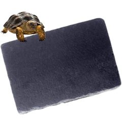 Item thumbnail for item 123e9f8d-40e1-4119-835c-a6ffa941d86b