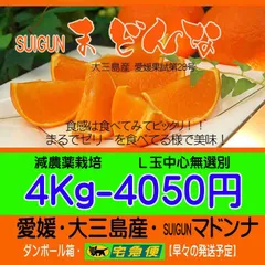 SUIGUNマドンナL玉4Kg　限定販売・とろ～りゼリー触感が美味！