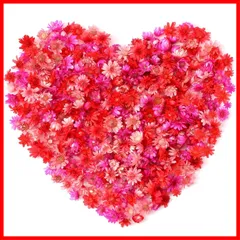 【在庫セール】ドライフラワー ドライフラワー 花材 ドライフラワー ホログラム レジン パーツ 乾燥シート 押し花 レッド 400個入り 373-4857 レジン用