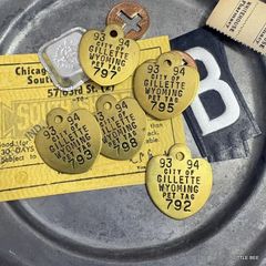 120・R-1111 イギリスバスチケット 1束（12枚）バスチケット 紙もの