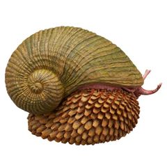 ネイチャーテクニカラー 深海生物 ウロコフネタマガイ 汚スケ ボールチェーン ガチャ 新品未使用 送料無料