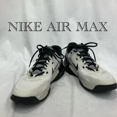 ナイキ エア マックス アルファ トレーナー 5NIKE AIR MAX ALPHA TRAINER 5 メンズ　DM0829-013　アイボリー　グレー　ブラック　サイズ　27.0cm_241068