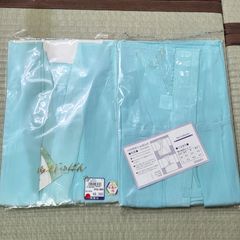 Item thumbnail for item a2385ae6-a05a-4317-932f-a9f830c1259d