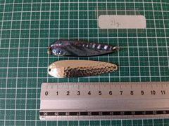 Item thumbnail for item 27a52b98-3f34-4c7f-b774-4df3aaf50b62