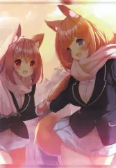 【中古】同人ポスター・タペストリー・カレンダー系 【オリジナル】B2タペストリー メイちゃん＆アキちゃん(p19) COMIC1☆13/practice