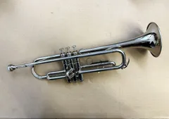 2026年最新】YAMAHA YTR1310の人気アイテム - メルカリ