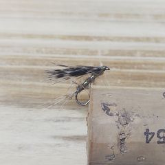 Item thumbnail for item 43f88333-8db3-4fd6-b2f5-b164ba3d26b7