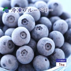 島根県産 冷凍 ブルーベリー 1kg 栽培期間中、農薬・化学肥料不使用