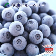 農薬・肥料不使用】山口県産 冷凍ブルーベリー 500g ハイブッシュ系