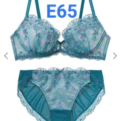 新品  チュチュアンナ E65  永遠のブラ  上下セット ブラ＆ショーツ  刺繍 高級  可愛い  定価 4048円  96