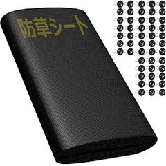 Item thumbnail for item f474635b-aaf5-4a07-b826-f2796a3408d8