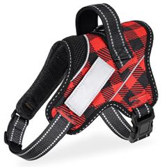 Item thumbnail for item 10b15334-9975-45cc-897d-4763c5db4a6d