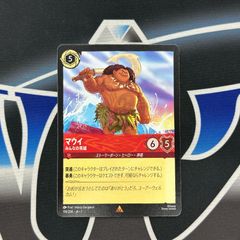 ロルカナ マウイ LR 2枚セット ロルカナ マウイ 2枚セット - メルカリ