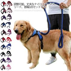 Item thumbnail for item 10b14a09-183f-4036-90d5-3e4923cdff75