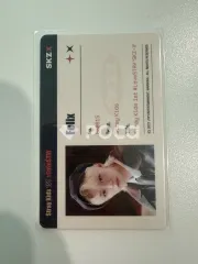 Stray Kids フィリックス Stray Kids 1ST #LoveSTAY SKZ-X ポストカード＆IDカードファイル セット