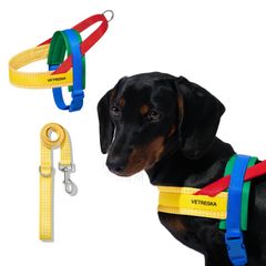 Item thumbnail for item 047784b5-57ef-47d0-8407-9e4ba8da4175