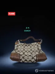 ヴィンテージバッグ/COACH コーチ