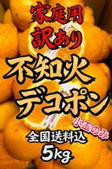 2026年最新】みかんキングの人気アイテム - メルカリ