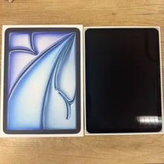 バッテリー100%★iPad Air 11インチ M3 Wi-Fiモデル