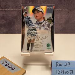 Item thumbnail for item e6c2753d-4034-4484-9d4a-263624b28bd9