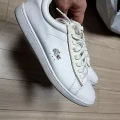 ラコステ 白 スニーカー (240)