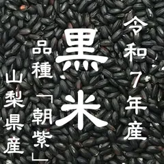 古代米 黒米 （令和7年産 山梨県産）900gのサムネイル