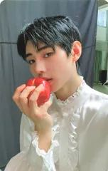 ENHYPEN BORDER:DAY ONE SUNGHOON トレーディングカード