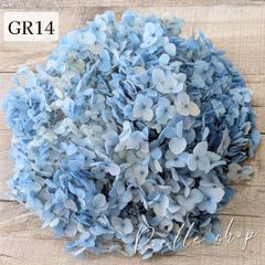 アナベルアジサイ プリザーブドフラワー (アジサイ あじさい 紫陽花) ハンドメイド アレンジ 制作 資材 材料 スワッグ リース ブーケ ハーバリウム レジン ブルーヴェール (GR14) 20g