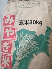 新米】愛知県産あいちのかおり玄米30kg 令和7年産- メルカリ