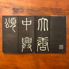 柄と形を楽しむ 万年青(おもと)入門 はじめてつくる人のための失敗の