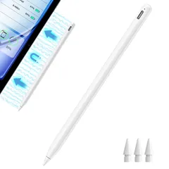 【アップグレード版 ワイヤレス充電タッチペン】Ciscle iPad専用タッチペン アップルペンシル Type-C 磁気吸着充電 スタイラスペン apple pencil交換専用ペン 2018-2025iPad/Air/mini/Pro対応 磁気吸着 ...