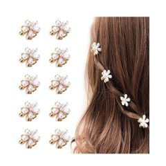 Item thumbnail for item 35d97e28-d3ba-43ec-be76-54d7b0df8987