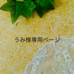 うみ様専用ページ