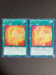 サンダーボルト ハーピィの羽根帚 ハーピィの羽根箒 ハーピィの羽帚