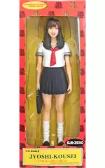 【中古】フィギュア 女子高生(2年生・ルーズソックス版) 1/6 塗装済み完成品