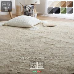 Item thumbnail for item 3e521a9c-d6d4-4634-9481-44410a35316c