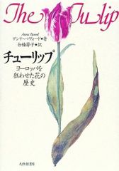チューリップ、安部俊幸・姫野達也 作品集 - メルカリ