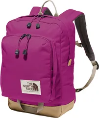 ザ・ノース・フェイス THE NORTH FACE アウトドア ホットショットミニ キッズ リュック かばん バッグ おでかけ ピクニック 外遊び 幼稚園 保育園 通園 普段使い 子ども 通気性 メッシュ 多収納  NMJ72362 DM ディープマルベリー