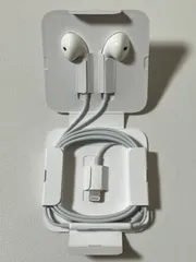 Apple iPhone 純正イヤフォン イヤポッズ 15