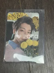 Seventeen ウォヌ セブチ Your Choice ONE SIDE Ver.