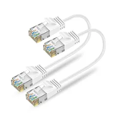 Ankuly Cat6A LANケーブル 短いランケーブル 0.3m 2本セット RJ45コネクタ 10Gbps サーバー 企業様向け 有線ケーブル 業務でも家庭でも