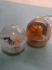 ハイキュー 日向翔陽 ジャンピング 肩ズン ガチャ まとめ出品