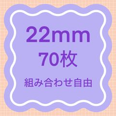 Item thumbnail for item 8c35f959-c9d2-4bc4-9891-21d6c3a268a3