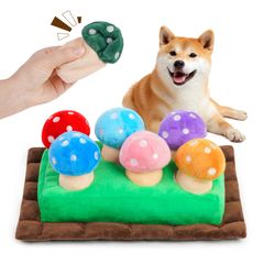 Item thumbnail for item a1b410b5-7f12-4995-8cfd-ecf06d1b9bb6