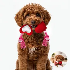 【特価セール】犬おもちゃ 耐久ロープ バレンタイン贈り物 プープー鳴くハート 引っ張り遊び 噛む 歯磨き 中小型犬向け