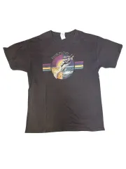 ヴィンテージ Pink Floyd(ピンク フロイド) wish you were here グラフィック Tシャツ L